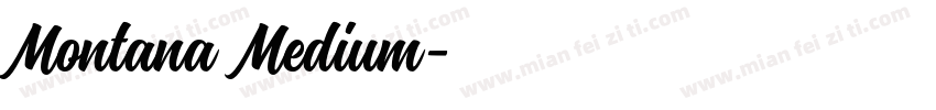Montana Medium字体转换